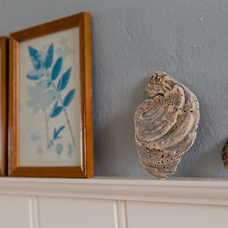 View Of Nyminde Stream And Dunes *