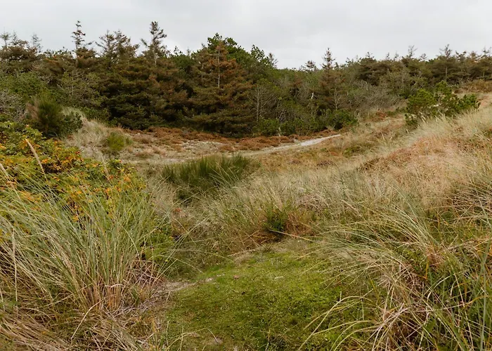 Сasa de vacaciones View Of Nyminde Stream And Dunes Nymindegab